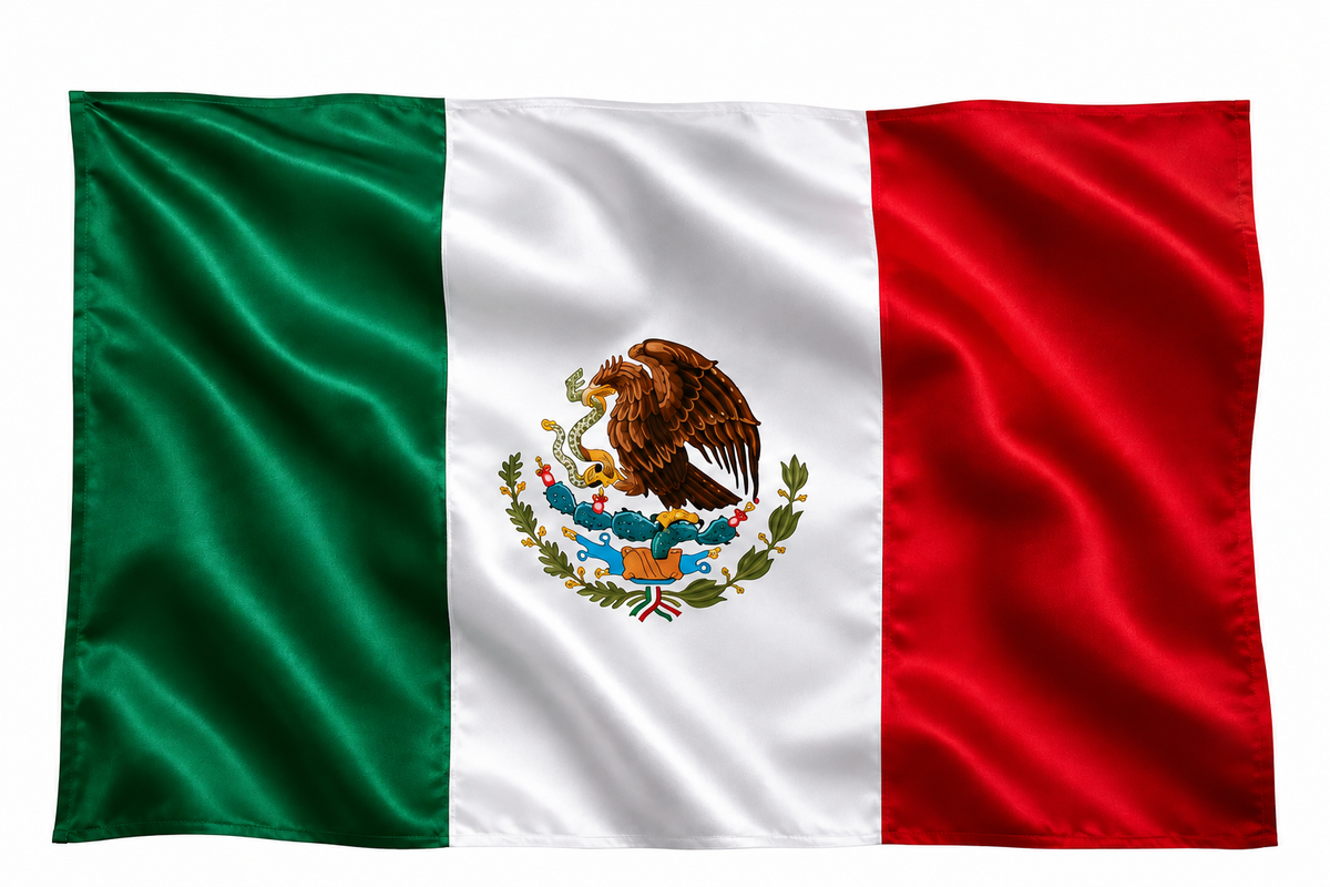 Pack de 100 Banderas de México 36 × 22 cm